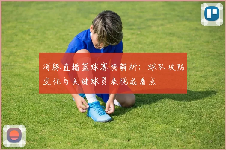 海豚直播篮球赛场解析:球队攻防变化与关键球员表现成看点