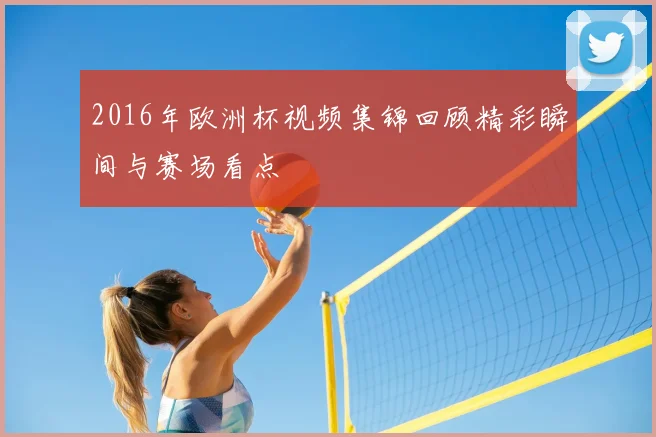 2016年欧洲杯视频集锦回顾精彩瞬间与赛场看点
