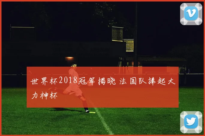 世界杯2018冠军揭晓 法国队捧起大力神杯