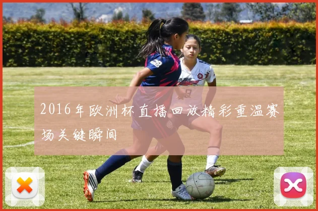 2016年欧洲杯直播回放精彩重温赛场关键瞬间