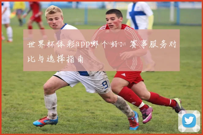 世界杯体彩app哪个好：赛事服务对比与选择指南